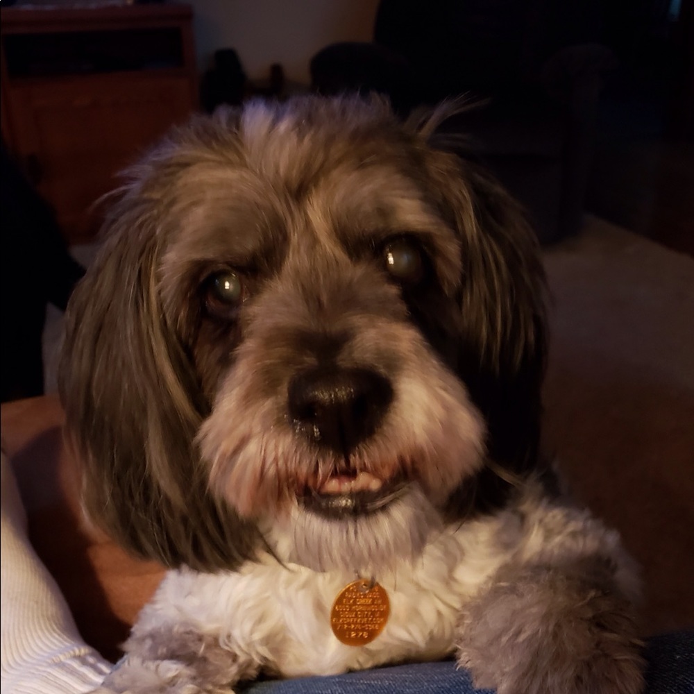 Meet your Posher, Ed